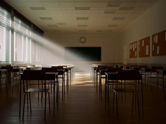 opleiding, studie, vorming